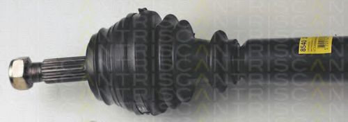 TRISCAN 8540 29602