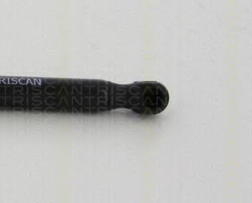 TRISCAN 8710 80214