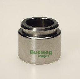 BUDWEG CALIPER 233401