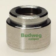 BUDWEG CALIPER 234004