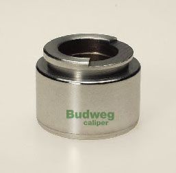 BUDWEG CALIPER 234007