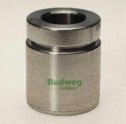 BUDWEG CALIPER 234020