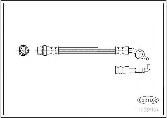 CORTECO 19036194