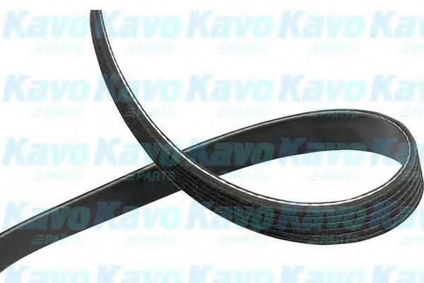 KAVO PARTS DMV-1014