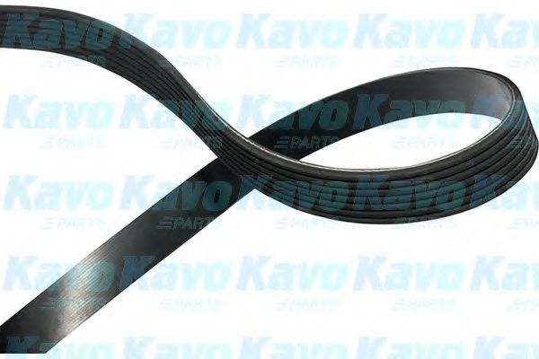 KAVO PARTS DMV-9113