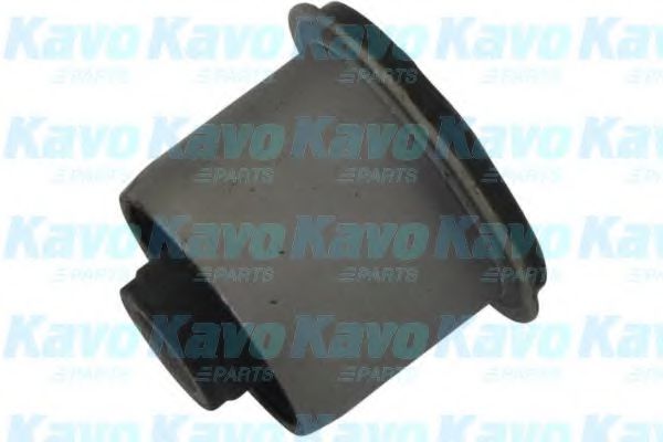 KAVO PARTS SCR-5557