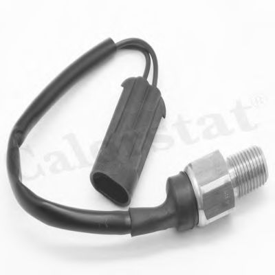 CALORSTAT by Vernet TS2960