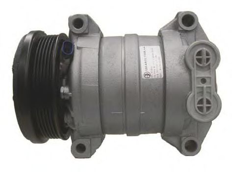 LIZARTE 81.06.12.001