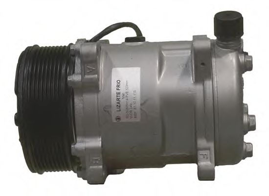 LIZARTE 81.10.11.115