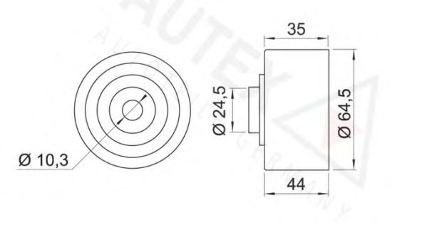 AUTEX 652013