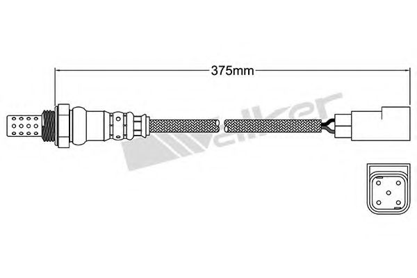 WALKER PRODUCTS 250-24283