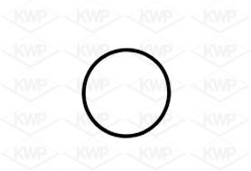 KWP 101041