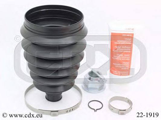 CDX 22-1919
