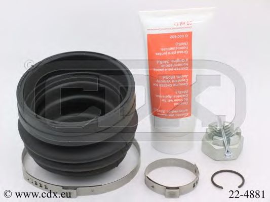 CDX 22-4881