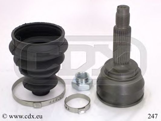 CDX 247
