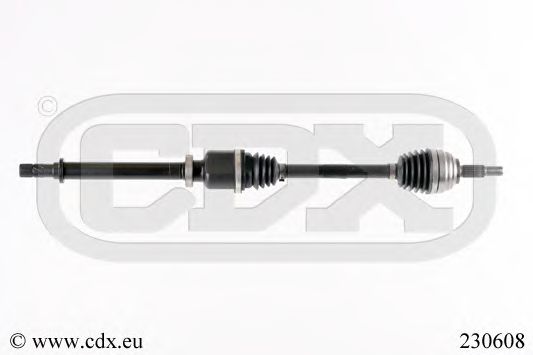 CDX 230608
