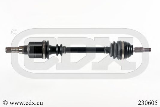 CDX 230605
