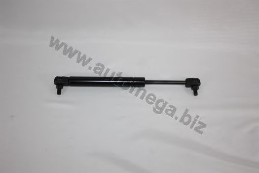 AUTOMEGA 3182705501H5B