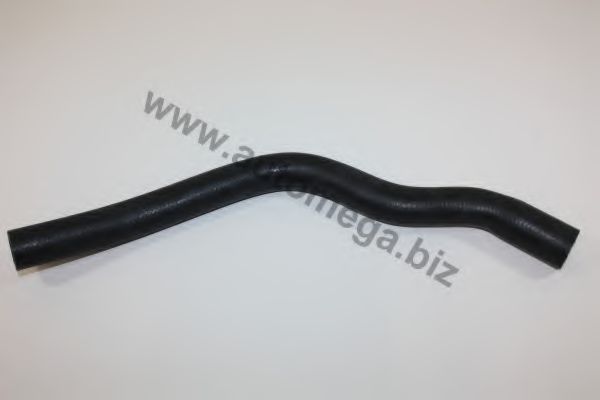 AUTOMEGA 3081903731H0A