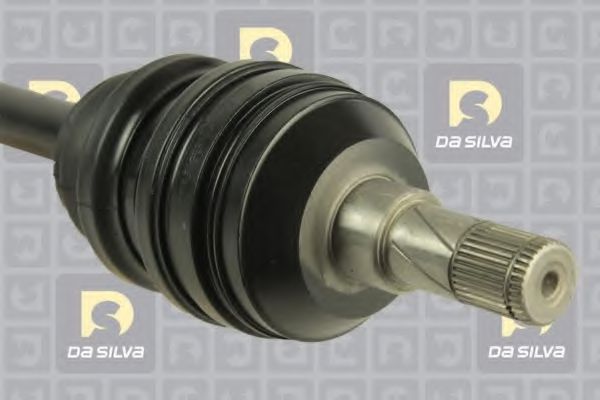 DA SILVA 31205AT