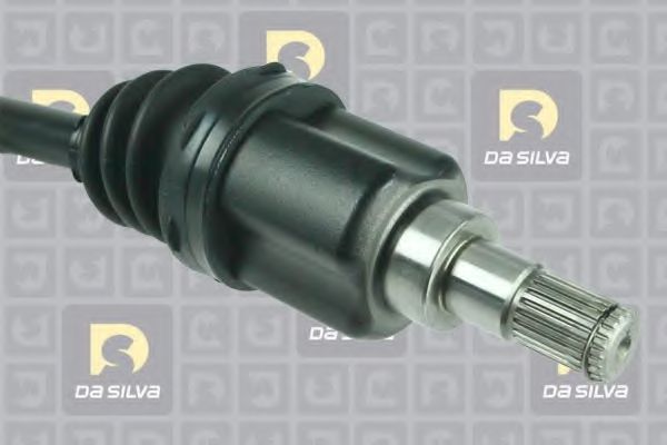 DA SILVA 31289T