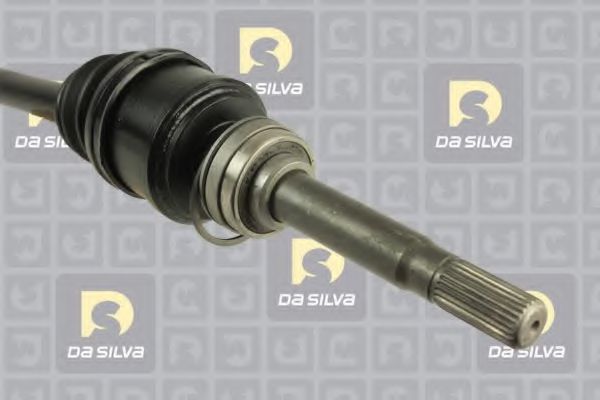 DA SILVA 95135T