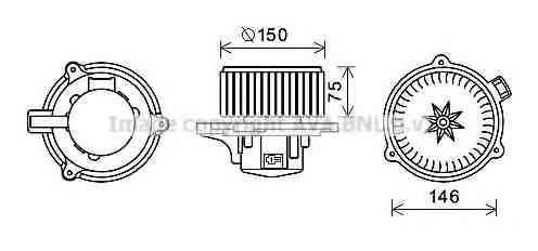 PRASCO KA8241