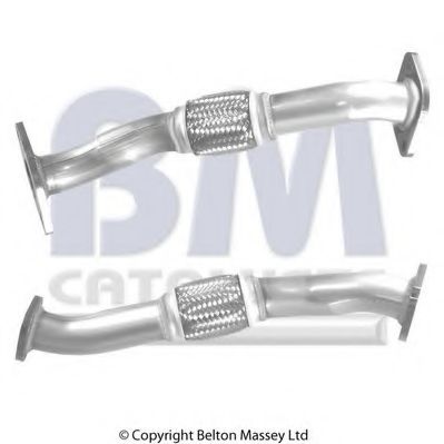 BM CATALYSTS BM50310