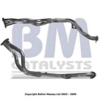 BM CATALYSTS BM70449