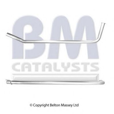 BM CATALYSTS BM50371