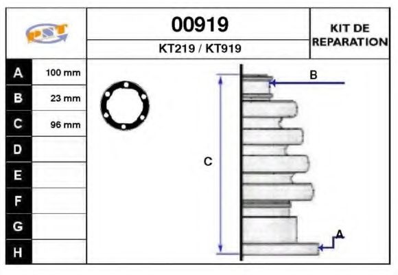 SNRA 00919