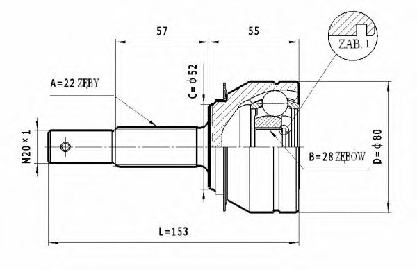 STATIM C.228