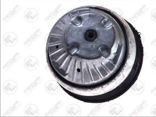 FORTUNE LINE FZ90596