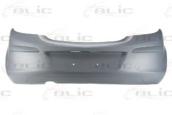 BLIC 5506-00-5024951P