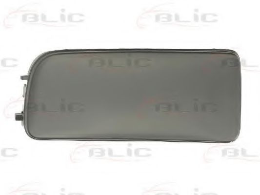BLIC 5513-00-0060925P