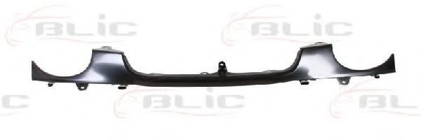 BLIC 6502-07-8114210P