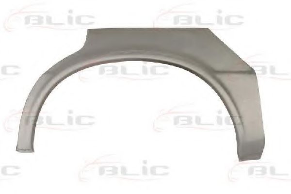 BLIC 6504-03-0009581P