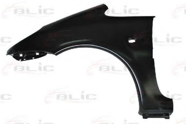 BLIC 6504-04-0536311P