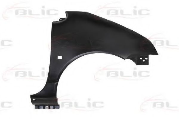 BLIC 6504-04-6005312P