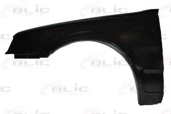 BLIC 6504-04-9529311P