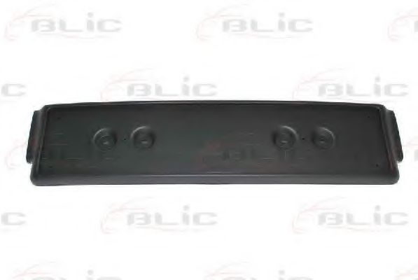 BLIC 6509-01-0017920P