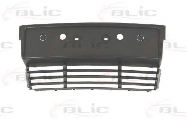 BLIC 6509-01-0057920P