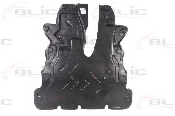 BLIC 6601-02-2553860P