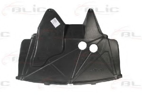 BLIC 6601-02-6005860P