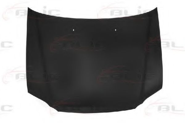 BLIC 6803-00-2955281P