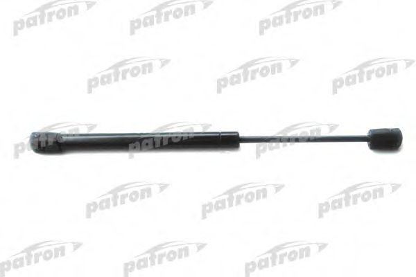 PATRON PGS246557