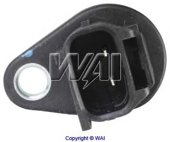 WAIglobal CAM216