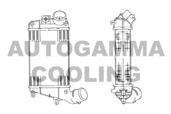 AUTOGAMMA 103008