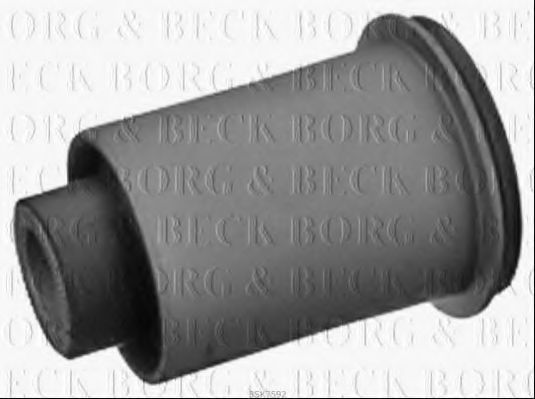 BORG & BECK BSK7592