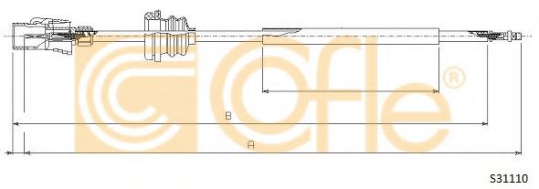 COFLE S31110